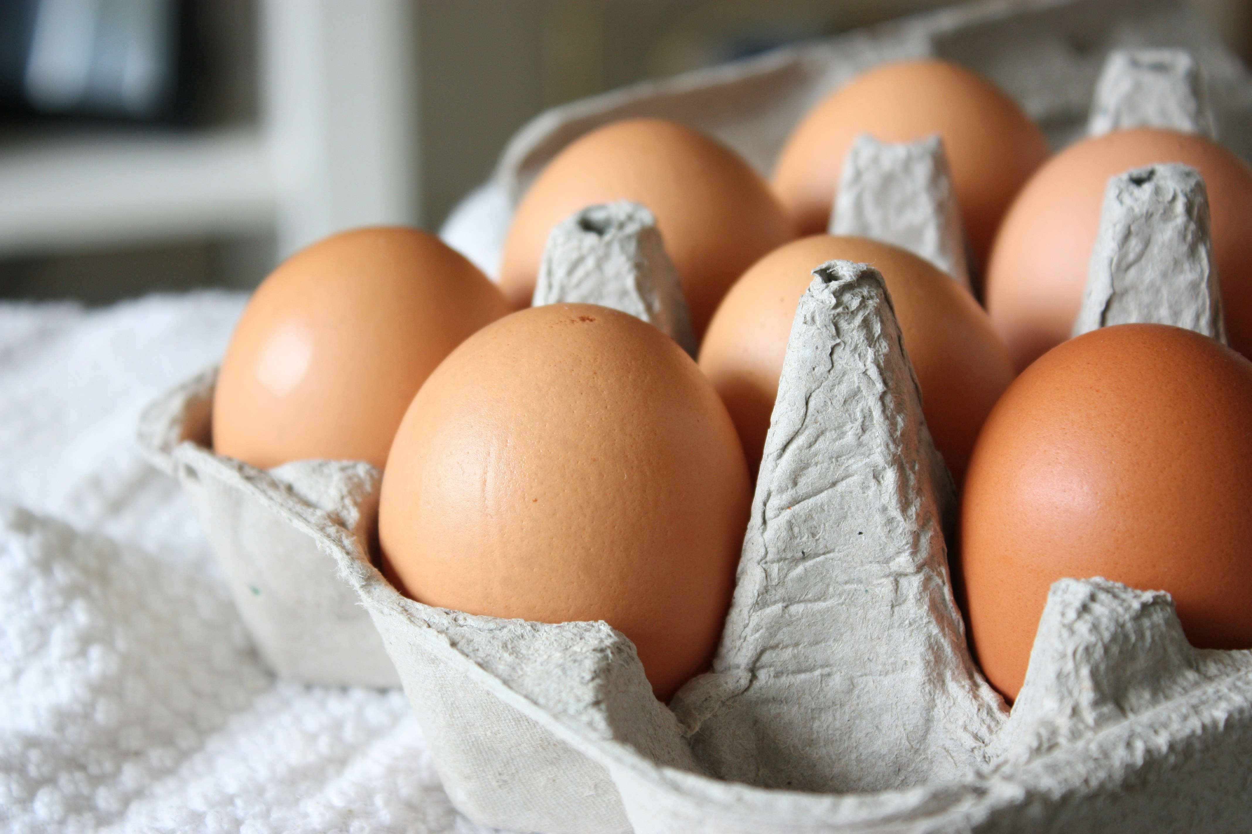 Egg Carton Buying Guide: From Pulp to Plastic